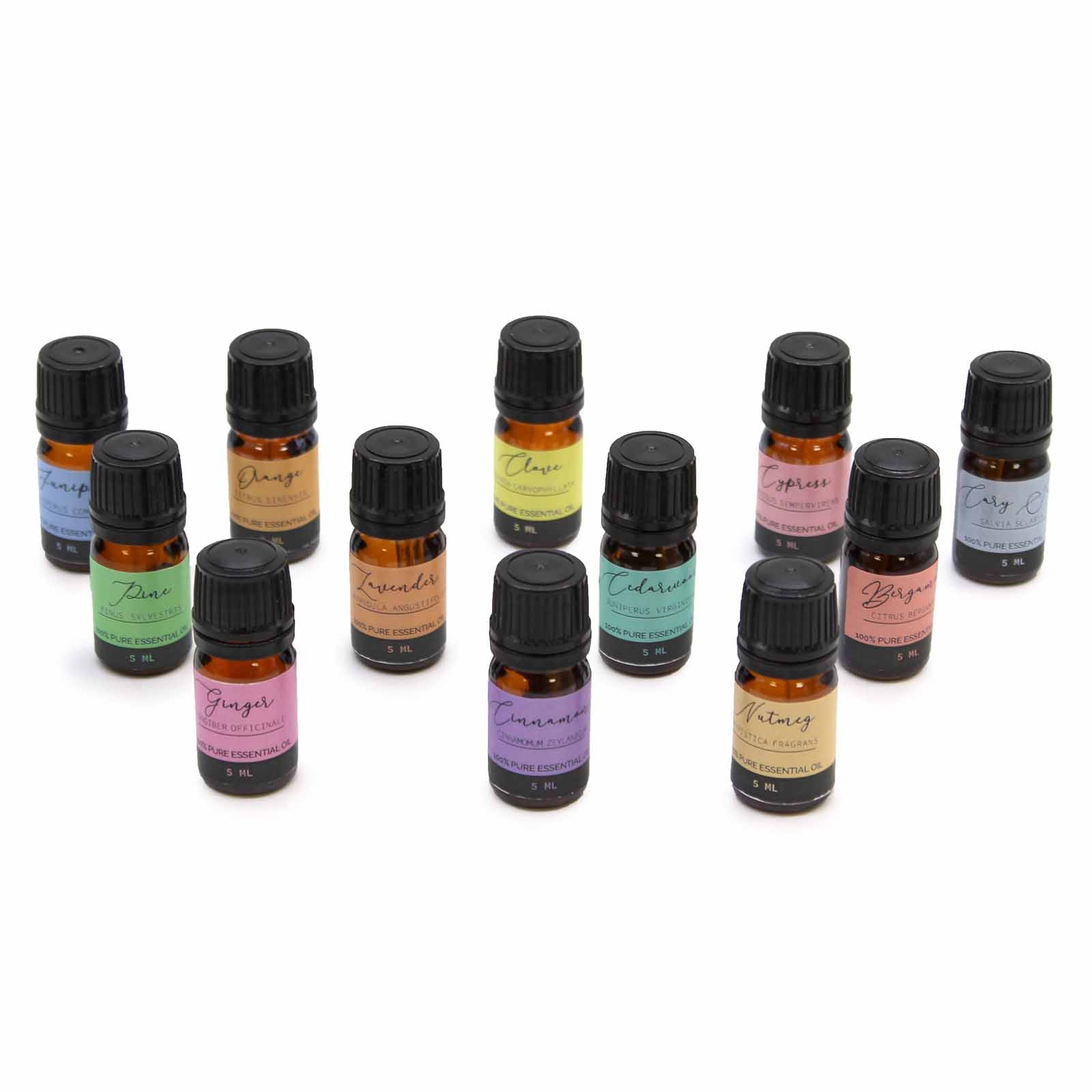 Aromatherapy Essential Oil Set - Autumn Edition | Wellness Haven Store