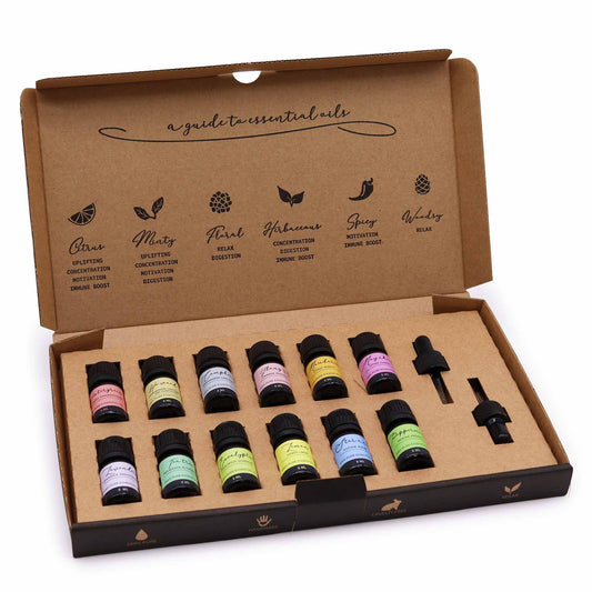 Aromatherapy Essential Oil Set - Starter Pack | Wellness Haven Store