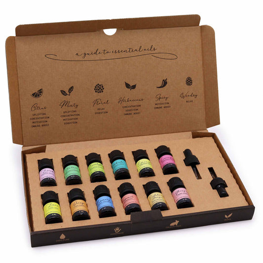 Aromatherapy Essential Oil Set - The Top 12 | Wellness Haven Store