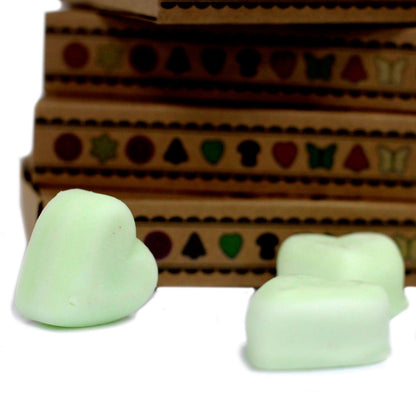 Box of 6 Natural Soy Wax Melts - Apple Spice | Wellness Haven Store