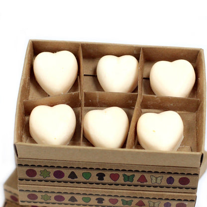 Box of 6 Natural Soy Wax Melts - Cinnamon & Orange | Wellness Haven Store