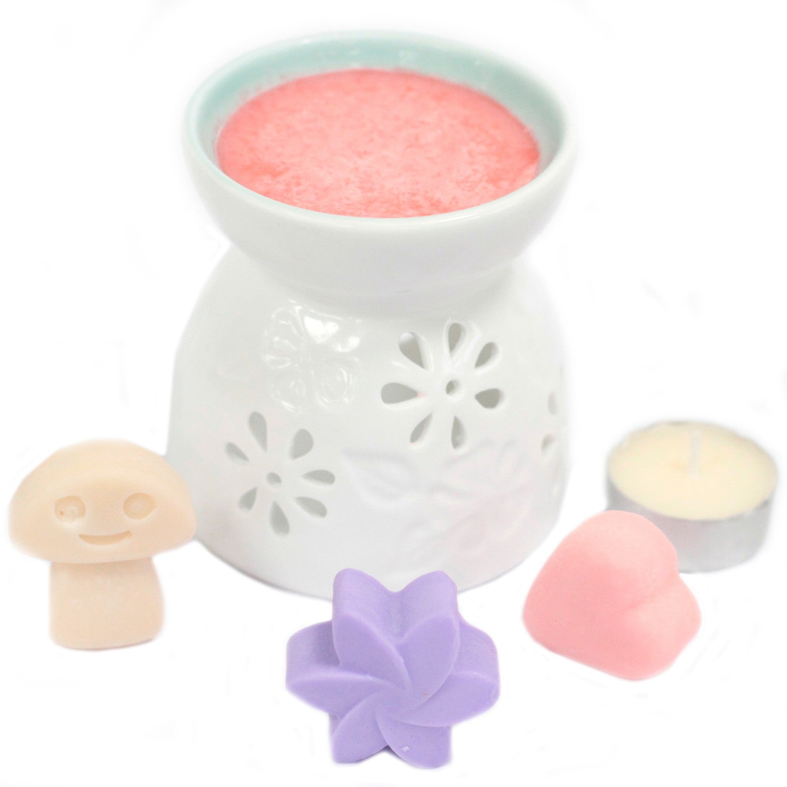 Box of 6 Natural Soy Wax Melts - Dewberry | Wellness Haven Store