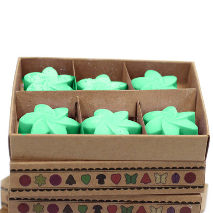 Box of 6 Natural Soy Wax Melts - Hidden Garden | Wellness Haven Store