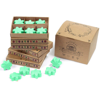 Box of 6 Natural Soy Wax Melts - Hidden Garden | Wellness Haven Store