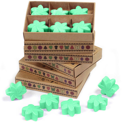 Box of 6 Natural Soy Wax Melts - Hidden Garden | Wellness Haven Store