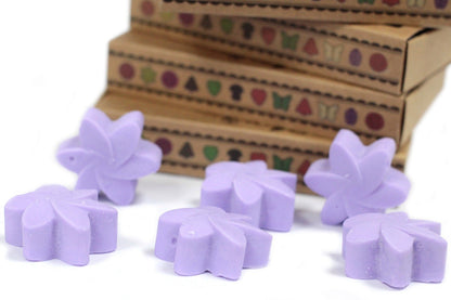 Box of 6 Natural Soy Wax Melts - Lavender Fields | Wellness Haven Store