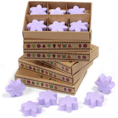 Box of 6 Natural Soy Wax Melts - Lavender Fields | Wellness Haven Store