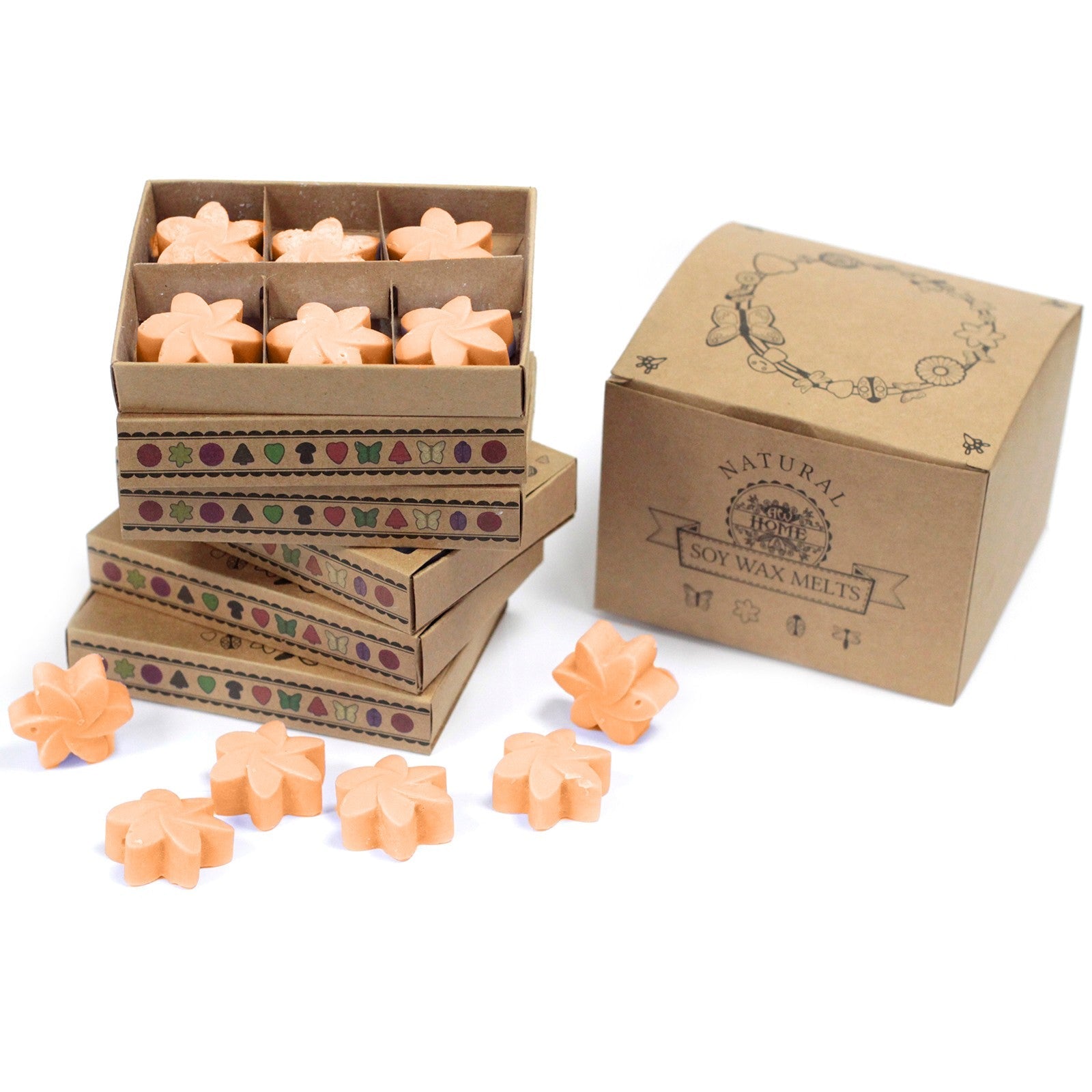 Box of 6 Natural Soy Wax Melts - Mango Fruits | Wellness Haven Store