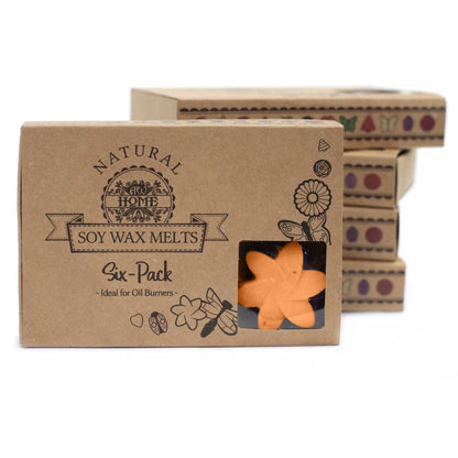 Box of 6 Natural Soy Wax Melts - Mango Fruits | Wellness Haven Store