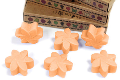 Box of 6 Natural Soy Wax Melts - Mango Fruits | Wellness Haven Store