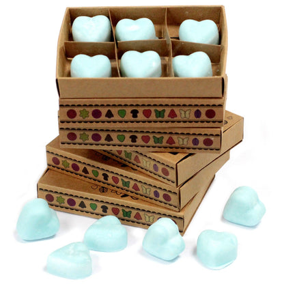 Box of 6 Natural Soy Wax Melts - Nagchampa | Wellness Haven Store