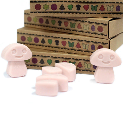 Box of 6 Natural Soy Wax Melts - Old Ginger | Wellness Haven Store