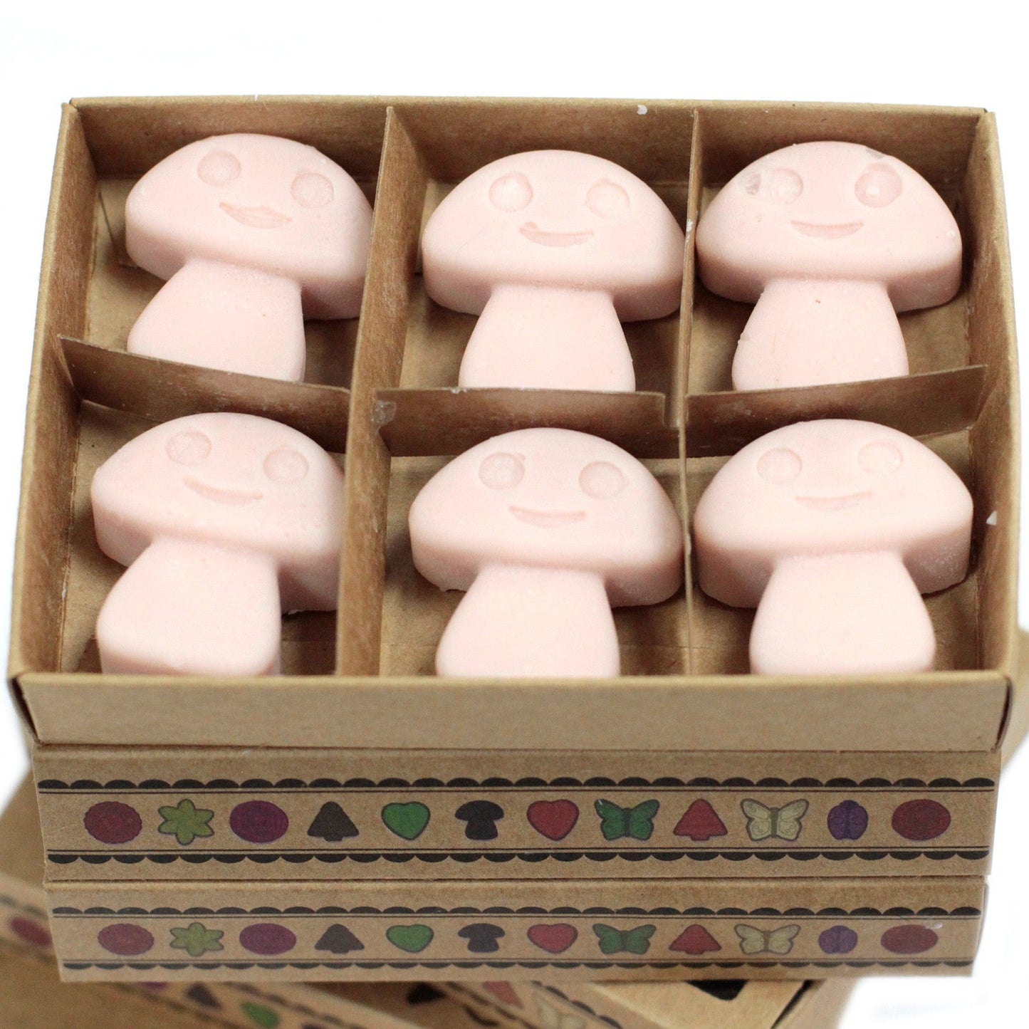 Box of 6 Natural Soy Wax Melts - Old Ginger | Wellness Haven Store