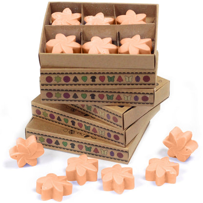 Box of 6 Natural Soy Wax Melts - Tuberose | Wellness Haven Store