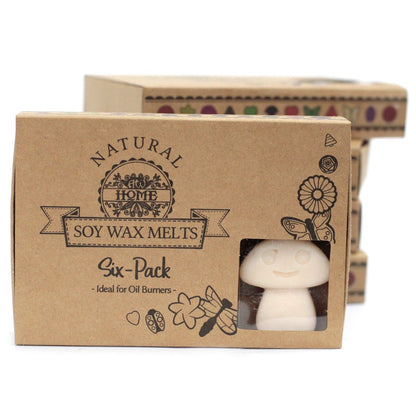 Box of 6 Natural Soy Wax Melts - Vanilla Nutmeg | Wellness Haven Store