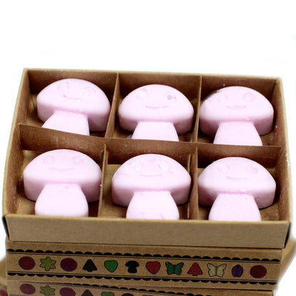 Box of 6 Natural Soy Wax Melts - Ylang Ylang | Wellness Haven Store