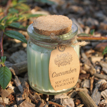 Cucumber Soy Pot of Fragrance Candle x2 | Wellness Haven Store