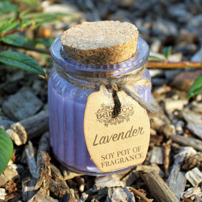 Lavender Soy Pot of Fragrance Candle x2 | Wellness Haven Store