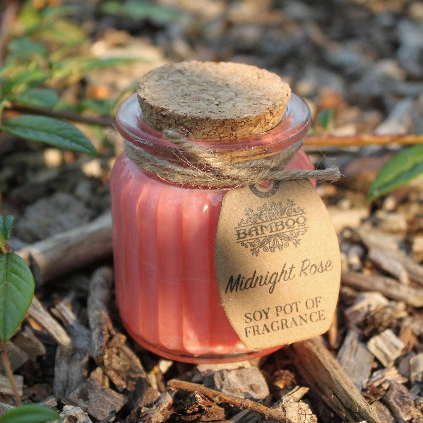 Midnight Rose Soy Pot of Fragrance Candle x2 | Wellness Haven Store