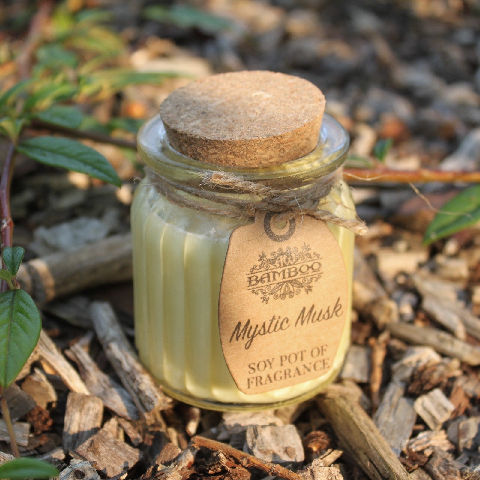 Mystic Musk Soy Pot of Fragrance Candle x2 | Wellness Haven Store