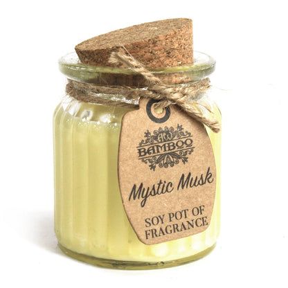 Mystic Musk Soy Pot of Fragrance Candle x2 | Wellness Haven Store