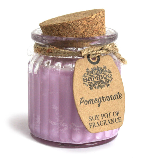 Pomegranate Soy Pot of Fragrance Candle x2 | Wellness Haven Store