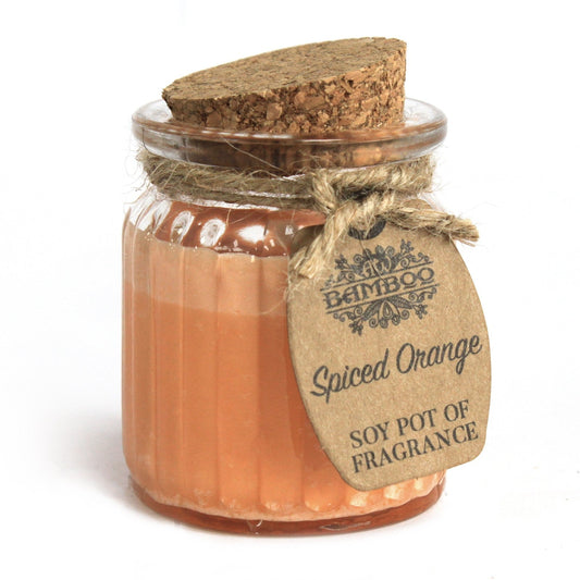 Spiced Orange Soy Pot of Fragrance Candle x2 | Wellness Haven Store