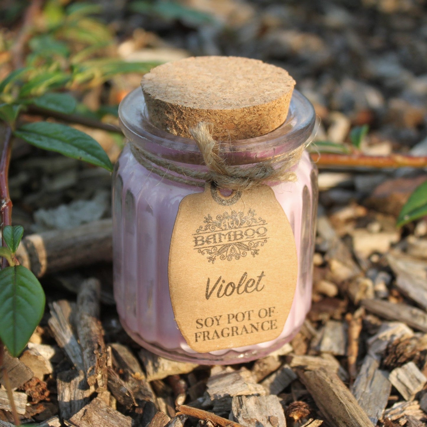 Violet Soy Pot of Fragrance Candle x2 | Wellness Haven Store