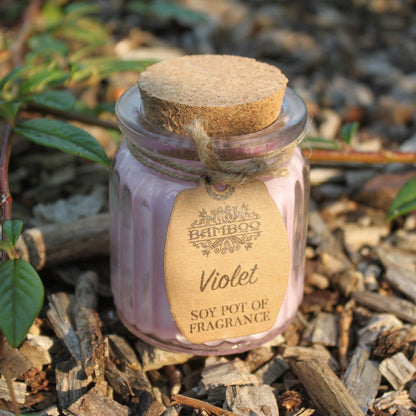 Violet Soy Pot of Fragrance Candle x2 | Wellness Haven Store